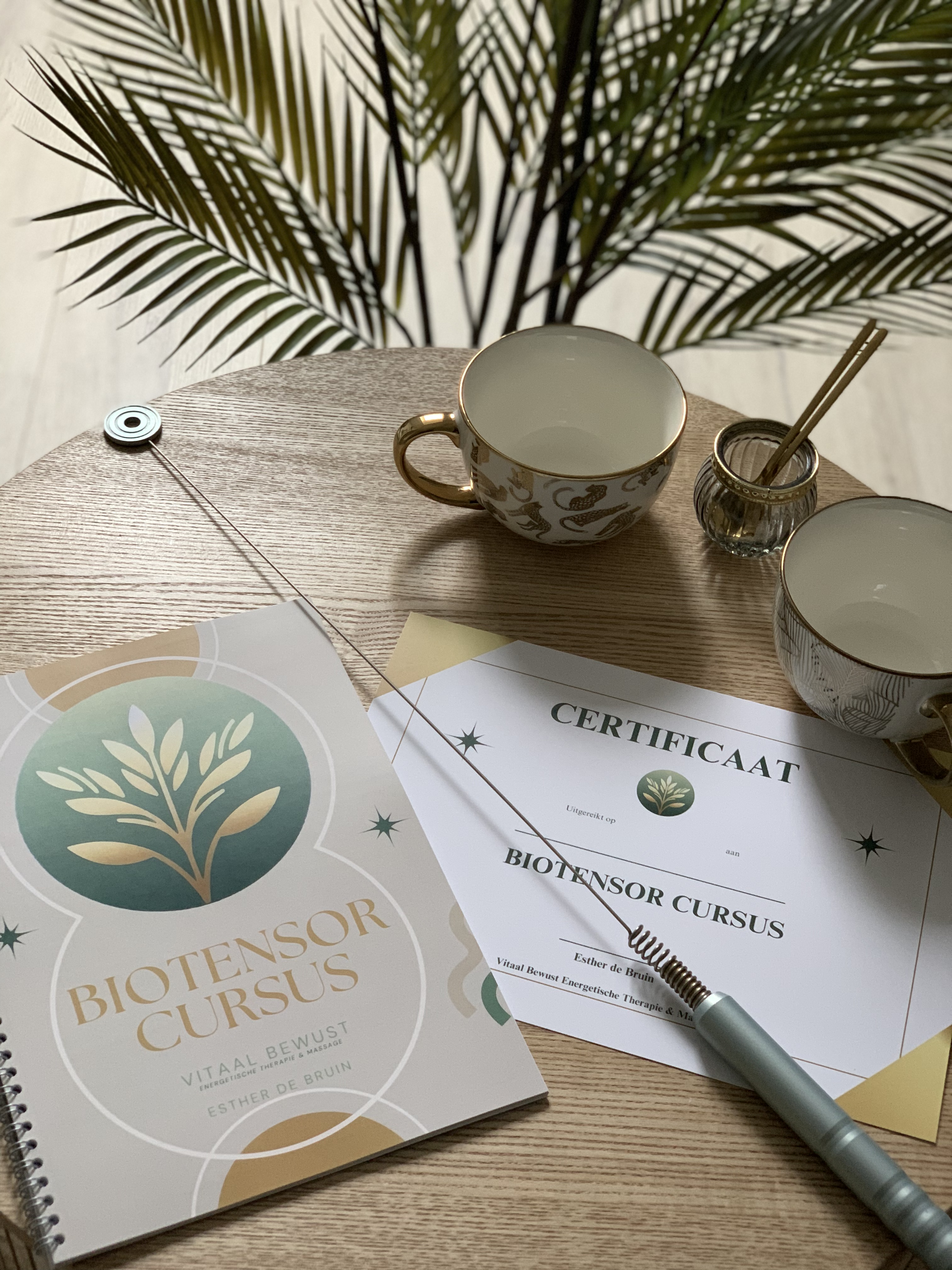 Biotensor cursus