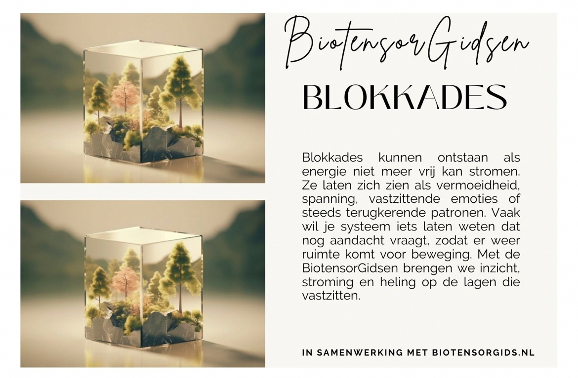 biotensorgidsen blokkades