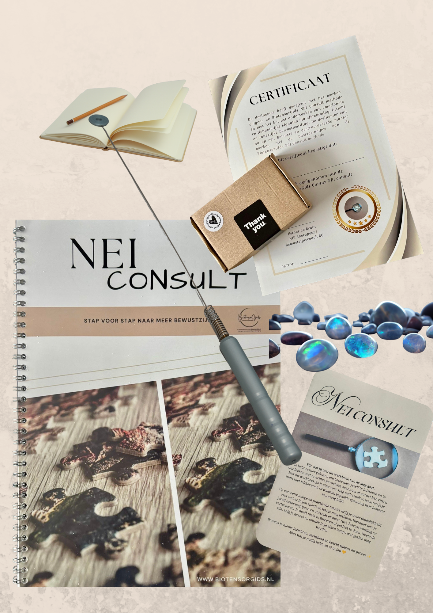 BiotensorGids NEI consulten